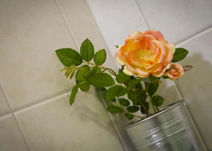 Πανσιόν Domus Liberta - Boutique